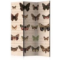 biombo - retro style butterflies 135x172 cm