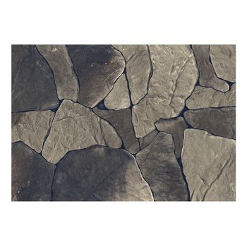 Papel Pintado 3d - Baltic Brown (350x245 Cm)