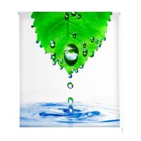 estoralis - estor enrollable translucido  estampado zen  130 x 255 cm anchoalto tamano tela 127 x 250 cm  z-1033 unico