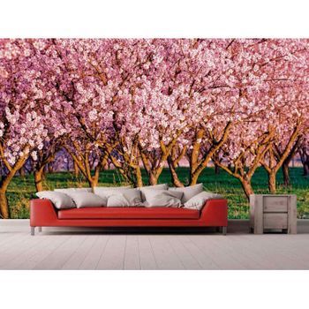 Fotomural Vinilo Almendros En Flor 150 X 100 Cm