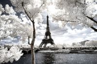 cuadro paris torre eiffel blanca impresion sobre lienzo 90x60cm