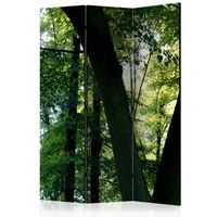 biombo - spring in the park 135x172 cm