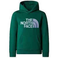 the north face jersey drew peak po para nino