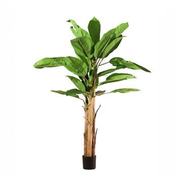 Bananera Artificial Ignífuga 180cm – Naturing Monde