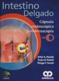 intestino delgado