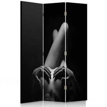 Biombo Artistic Nude - Separador De Ambientes Cm. 110x150 (3 Paneles)