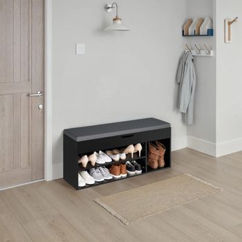 Banco zapatero para 9 pares y acolchado 104 x 30 x 49 cm, negro