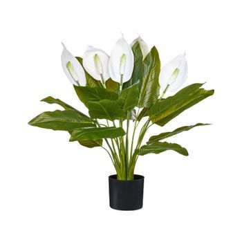 Planta Artificial En Maceta Para Interior Decoración De Plástico Con Maceta Negra Spathphyllum
