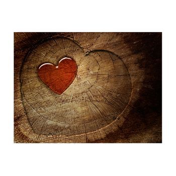 Papel Pintado 3d - Eternal Love (250x193 Cm)
