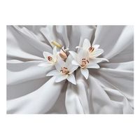 papel pintado 3d - sensual lilies 350x245 cm