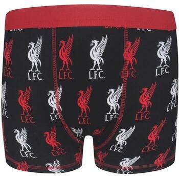 Liverpool Fc Boxer GF666 para niño