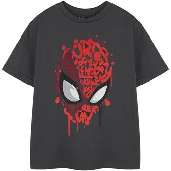 Marvel Camiseta Friendly Neighbourhood para niño