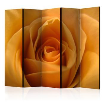 Biombo - Yellow Rose – A Symbol Of Friendship Ii (225x172 Cm)