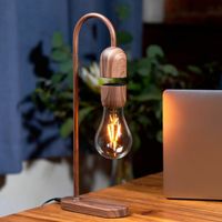 evaro magic lightbulb lamp by gingko