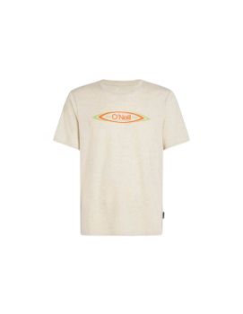 Camiseta O'Neill O'Riginals Hybrid Polygiene Graphic Hombre Beige