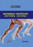 anatomia al natural: miembro inferior