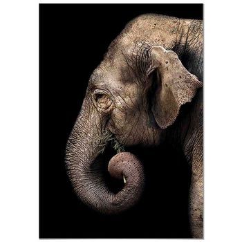 Panorama Cuadro De Aluminio Elefante Perfil 70x100 Cm