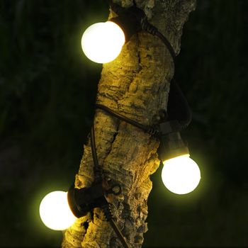 Festoon Transformer