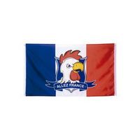bandera allez france