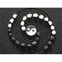 fotomural vinilo zen ying yang 400 x 300 cm