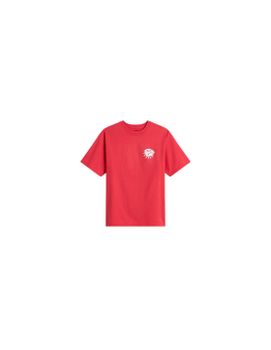 Camiseta Vans Bully Ss Hombre Crimson Haze