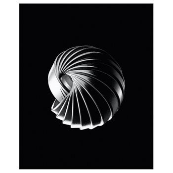 Cuadro Lienzo, Impresión Digital - Concha - Decoración Pared - 40x50cm