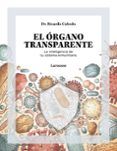 el organo transparente la inteligencia de tu sistema inmunitario