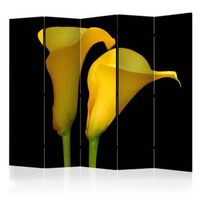 biombo - two yellow calla flowers on a black background ii 225x172 cm