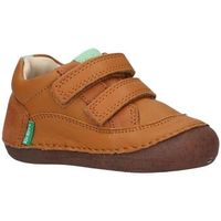 kickers zapatos bajos 894563-10 sostankro shee para nino