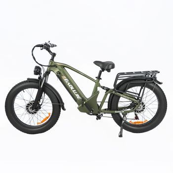 Bicicleta Eléctrica Baolujie Dp2401 De Doble Motor Y Neumáticos Anchos De 24