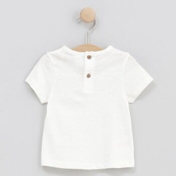 cotton fish Tops y Camisetas 90725-CHILD para niña