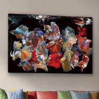 fotografia impresa peces siam