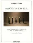 indomitas al sol cinco poetas cubanas de nueva york