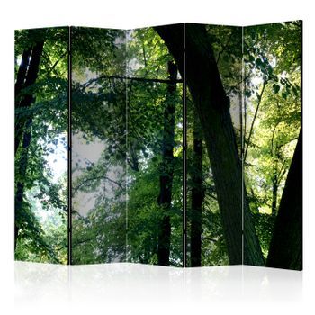 Biombo - Spring In The Park Ii (225x172 Cm)