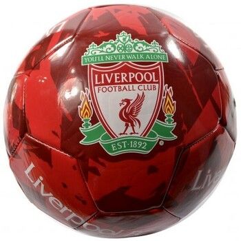 Liverpool Fc Complemento deporte Taille 5 BS4525 para hombre