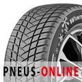 champiro winterpro 2 evo