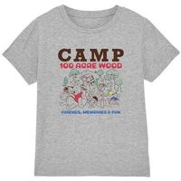 dessins animes camiseta camp 100 acre woods para nino