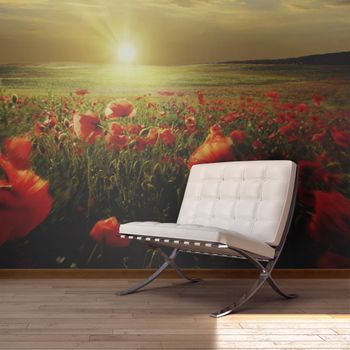 Fotomural - Campos De Amapolas Al Amanecer