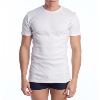 Abanderado Boxer A0256 para hombre