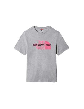 Camiseta The North Face Graphic Print M Gray