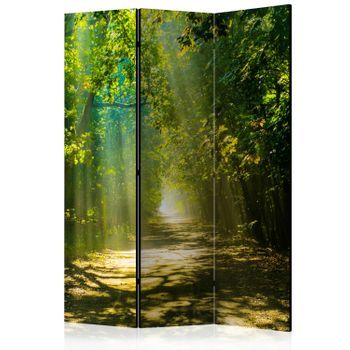 Biombo - Road In Sunlight (135x172 Cm)