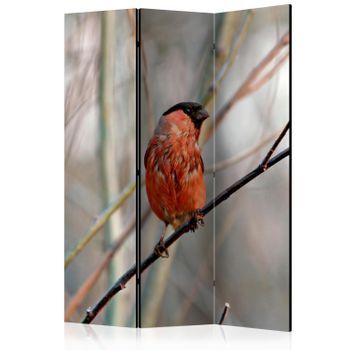 Biombo - Bullfinch In The Forest (135x172 Cm)
