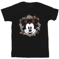disney camiseta bi54933 para nino