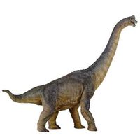 brachiosaurus