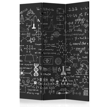 Biombo - Science On Chalkboard (135x172 Cm)