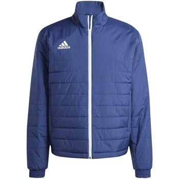 adidas Chaquetas Entrada para hombre