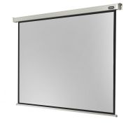 celexon electric professional pantalla de proyeccion electrica 280x210cm
