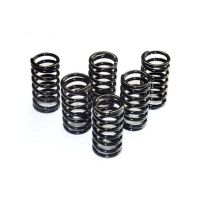 muelle de embrague ferodo fss0101 kit