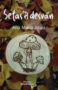 setas en el desvan