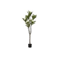 arbol pe 80x80x150 frangipani flor tahiti blanco